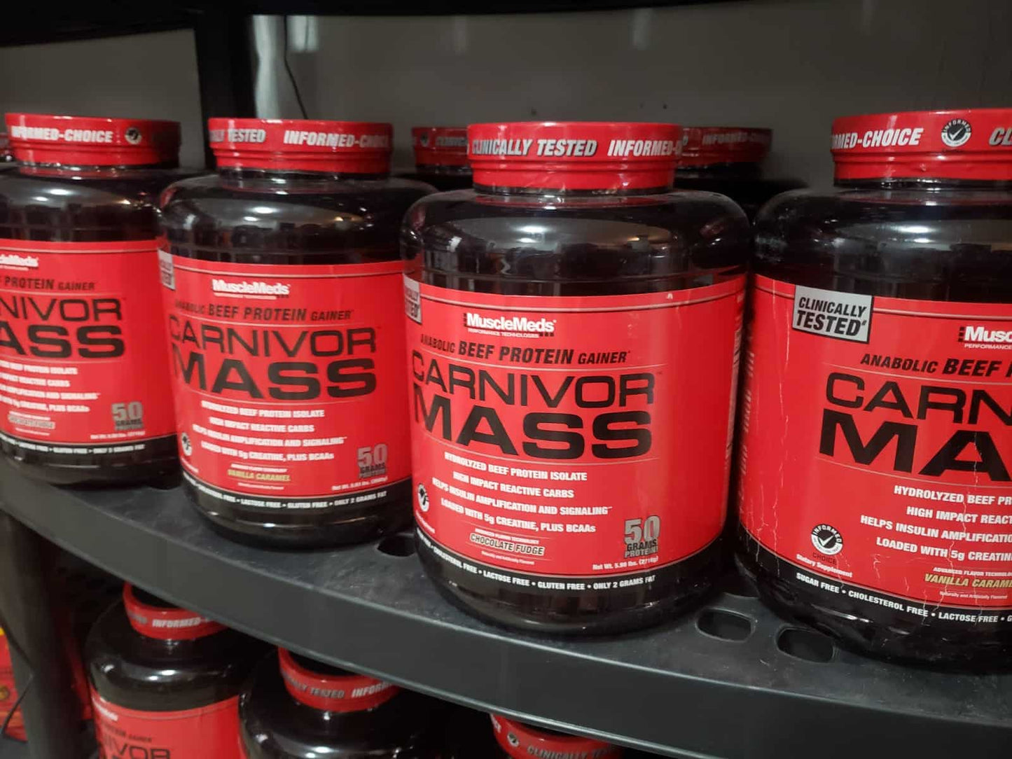 GANADOR CARNIVOR MASS | 5.99 lbs (50 servicios)